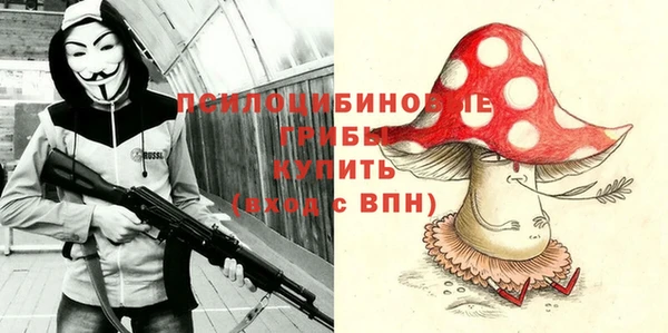 таблы Пересвет