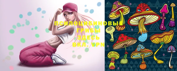 таблы Пересвет