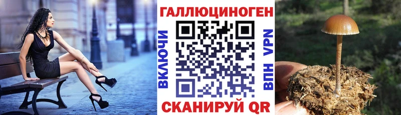 Псилоцибиновые грибы мицелий ссылка на мегу зеркало Алзамай
